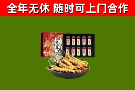 武威回收冬虫夏草价格